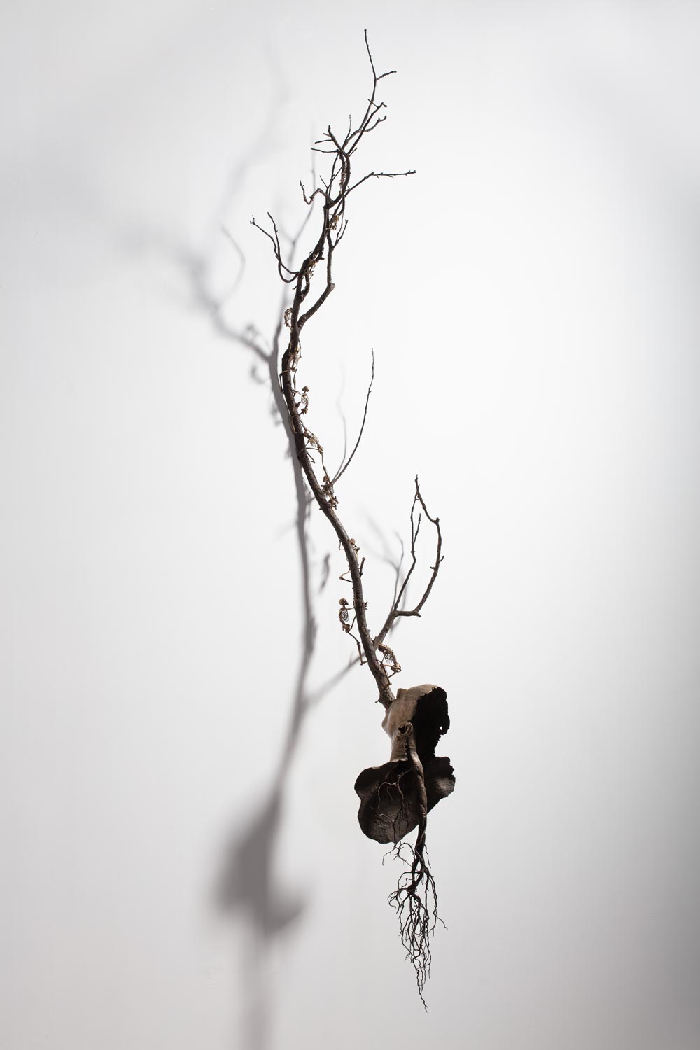barcelona gallery weekend